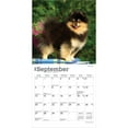 thumbnail image 4 of Pomeranians | 2026 7x14" (Hanging) Monthly Mini Wall Calendar | BrownTrout, 4 of 9