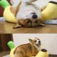 thumbnail image 4 of Cama Para Gatos Tipo Plátano, Cálida, , Acogedora Y Cómoda, Cama Para Dormir Para Perros, Diseño En Forma De Plátano De Invierno Para Perros Pequeños Y Medianos, 4 of 7