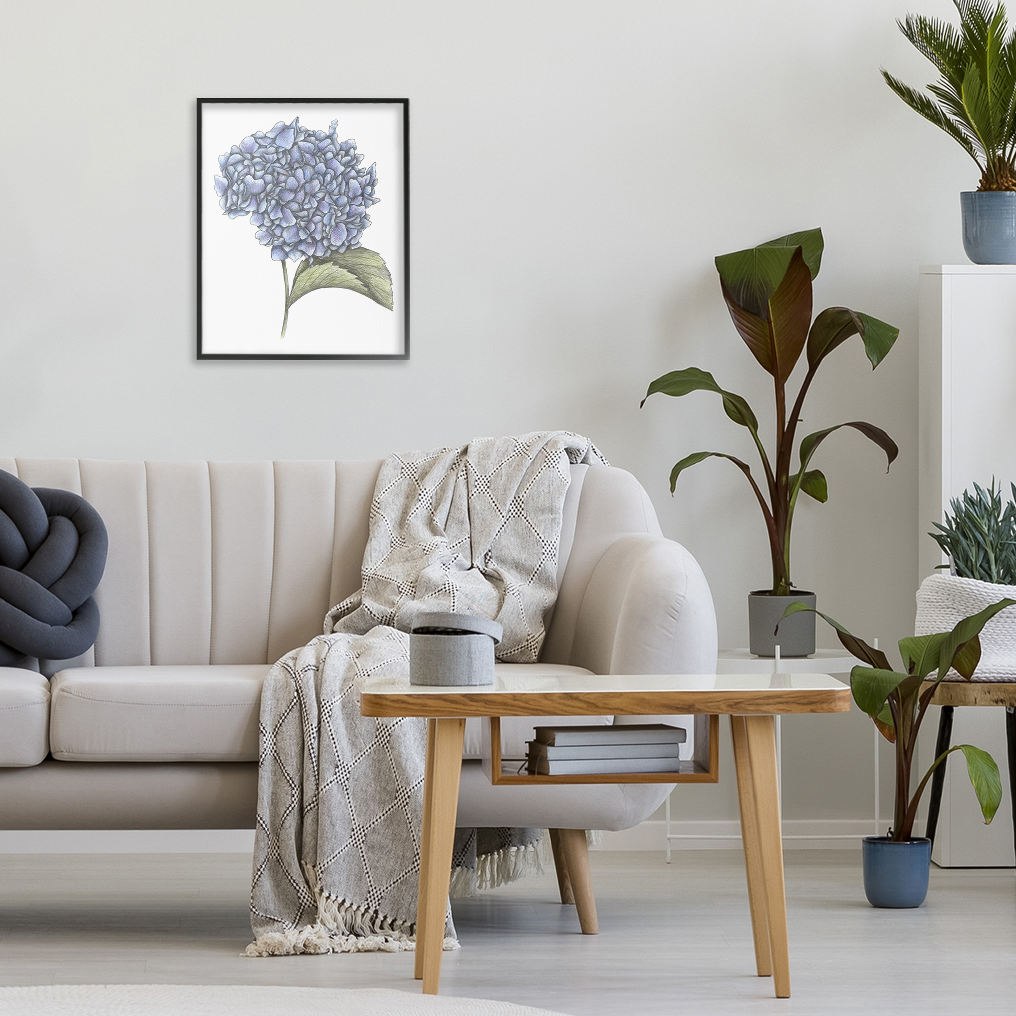 Hydrangea Sketch Blossom Black Framed Giclee Art, design by Cecilia Battaini