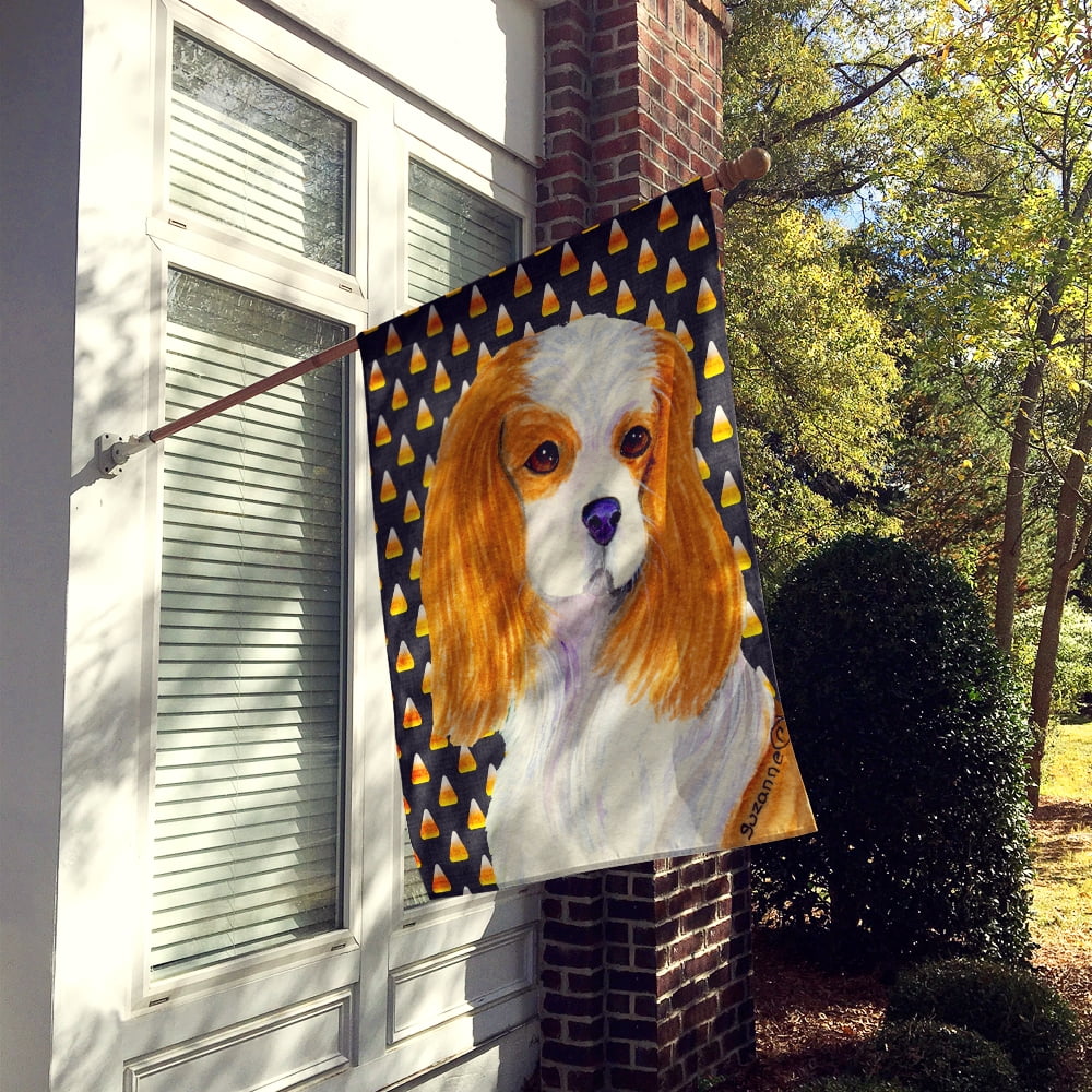 Carolines Treasures SS4320-FLAG-PARENT Cavalier Spaniel Candy Corn Halloween Portrait Flag  multicolor
