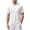 Mens Shirts White, variant on Quarter Zip Pullover Men Short Sleeve Stand Collar Athletic Sports Casual Outodoor Workout Shirt Fathers Gift