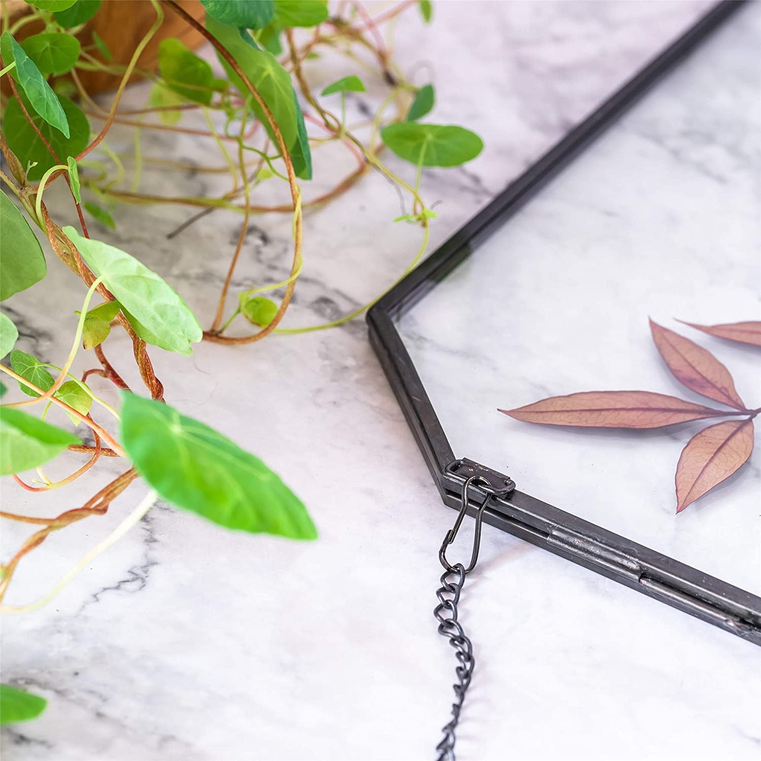 NCYP 8x10 inches Octagon Double Glass Floating Frame for Pressed Dried Flowers, Photo, Picture, Poster - Wall Hanging Herbarium, Home Decor, Black (Glass Frame Only)