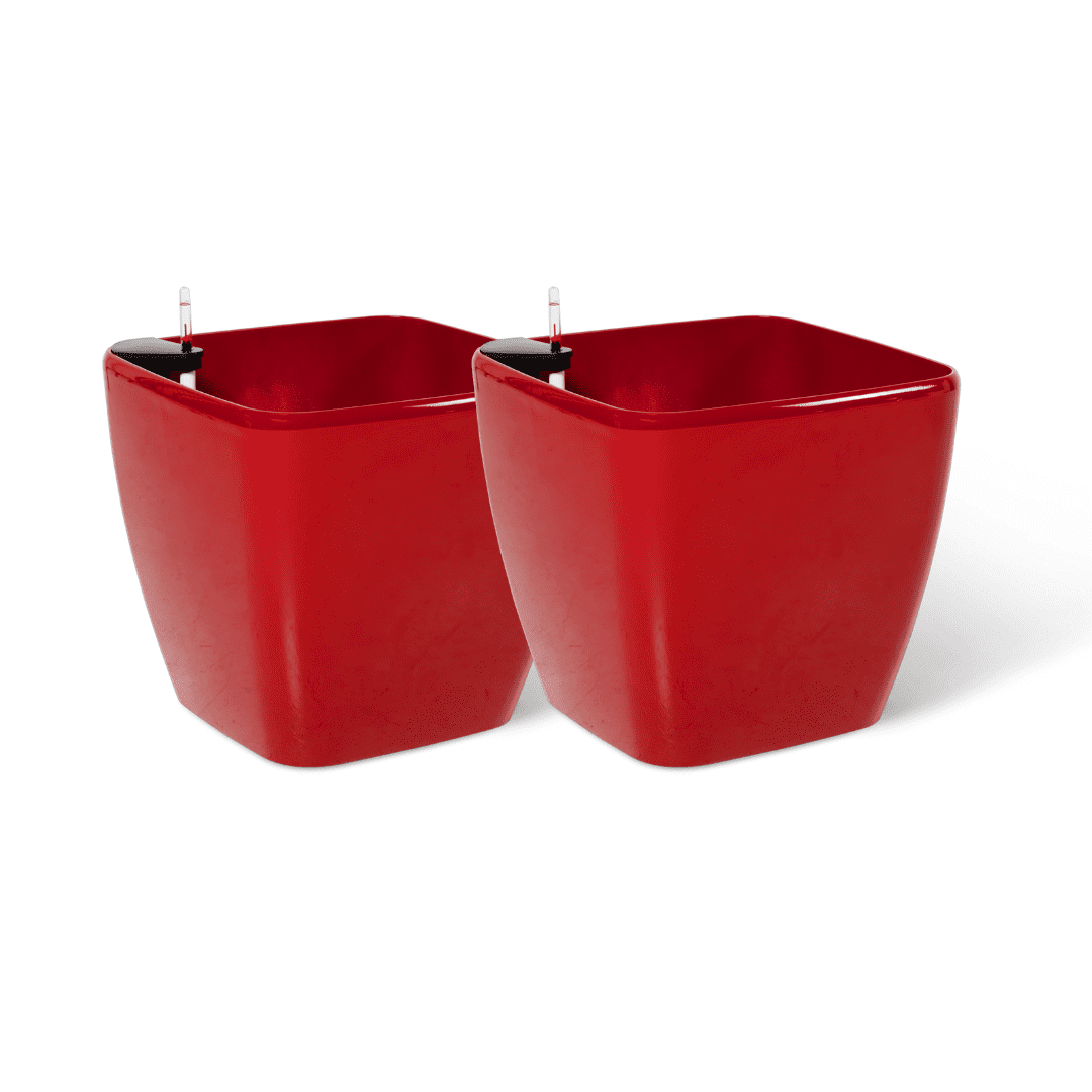 Gardener's Supply Company Viva Square SelfWatering Rolling Planter