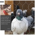 thumbnail image 4 of 2pcs Metal Chicken Wire Net Poultry Wire Netting Hexagonal Metal Mesh for Garden, 4 of 9