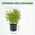 thumbnail image 2 of Bgsha Grow Bags Thick Nonwoven Fabric Pots with Strap Handles Multi-Purpose Rings, 2 of 9