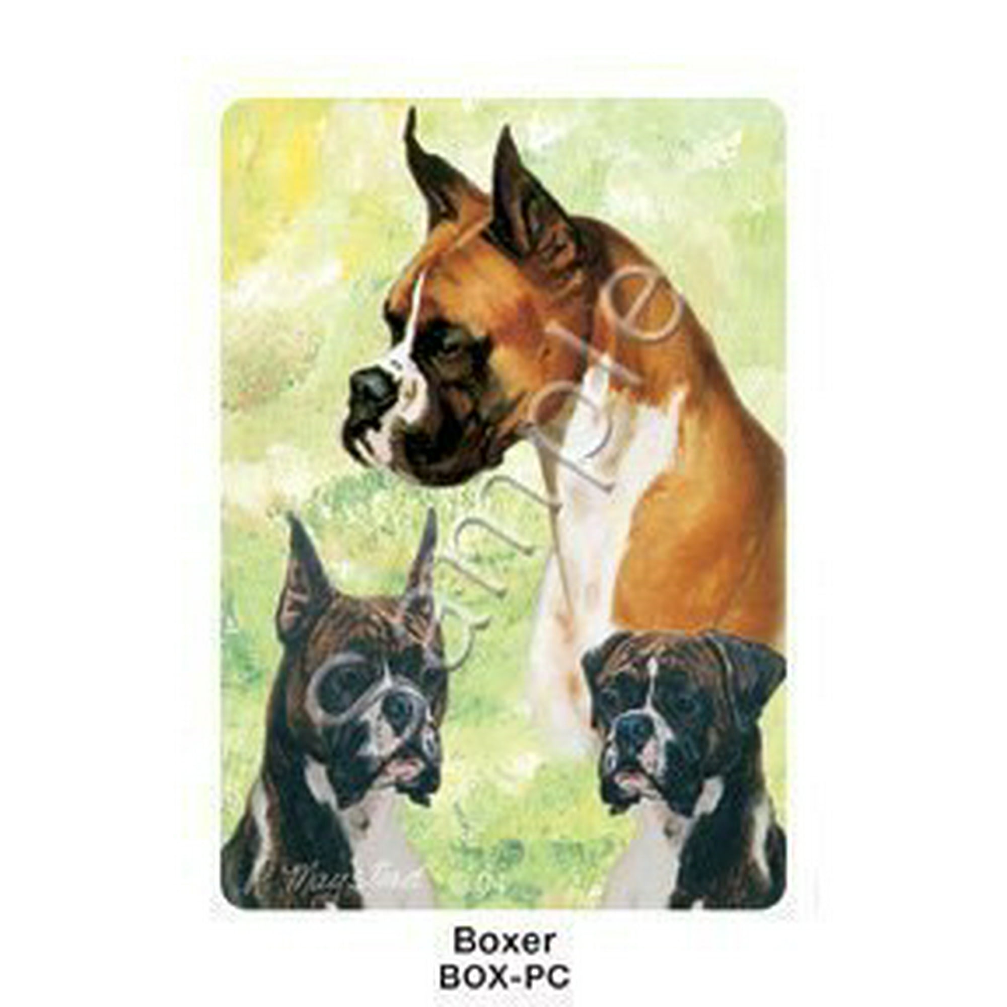 can a boxer and a bulldog be friends