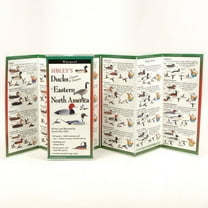 FoldingGuides: Sibley's Ducks, Geese, and Swans of Eastern North America (Other)