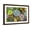 Brown Frame, variant on Art.com Rectangular Arrangement of Succulents; Cactus Succulents in a Planter Stretched Canvas Print Wall Art, 18" x 12"