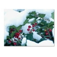 thumbnail image 2 of Trademark Fine Art "Holly in the Snow" Canvas Art by Kurt Shaffer, 2 of 4