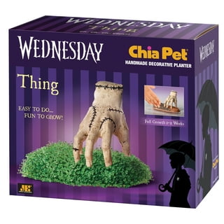 Chia Pet Star Wars the Child Using the Force with Seed Pack, Decorative  Pottery Planter, Easy to Do and Fun to Grow, Novelty Gift, Perfect for Any