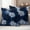 Blue, variant on Orange Black Flowers Outdoor Waterproof Throw Pillow Covers 20x20 Set of 2, Modern Abstract Blooms Floral Decorative Pillowcases Cushion Pillowcase for Couch Sofa Patio Outside Pillow Protector