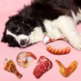 thumbnail image 5 of Pet Toy Cute Bite-resistant Teething Training Pet Squeak Toy Dog Chew Toy, 5 of 5