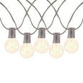 thumbnail image 2 of Novelty Lights 25 Feet Warm White LED G40 Globe Plastic Shatterproof Outdoor Patio String Lights, Brown Wire, 2 of 7