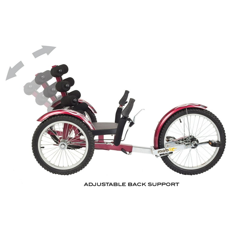 Mobo Shift: The World's First Reversible 3-Wheeled Cruiser, Adult