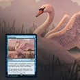 thumbnail image 3 of Magic: The Gathering TCG: Secret Lair Drop Series - Ornithological Studies, 3 of 7