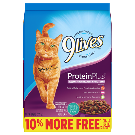 9Lives Protein Plus Dry Cat Food, 13.2 lb (Best High Protein Low Carb Dry Cat Food)