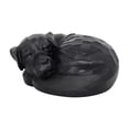 thumbnail image 2 of Urna conmemorativa para mascotas, recuerdo, figura conmemorativa, organizador, urnas de cenizas para mascotas, para repisa de chimenea, mesa, 2 of 8