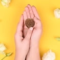 thumbnail image 3 of MasteelfCA 2pcs Walnut Massage Balls Handball Training Wild Walnut Health Ball Playthings, 3 of 8