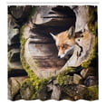 thumbnail image 3 of Ambesonne Animal Shower Curtain, Nature Wild Fox Forest, 69"Wx70"L, Multicolor, 3 of 5