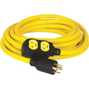 Champion Power Equipment 25-Foot 30-Amp 125/250-Volt Duplex-Style Generator Extension Cord (L14-30P to Four 5-20R)