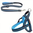 thumbnail image 5 of Stylish and Comfortable Dog Harness and Leash Set - Perfect for Everyday Walks!, 5 of 5