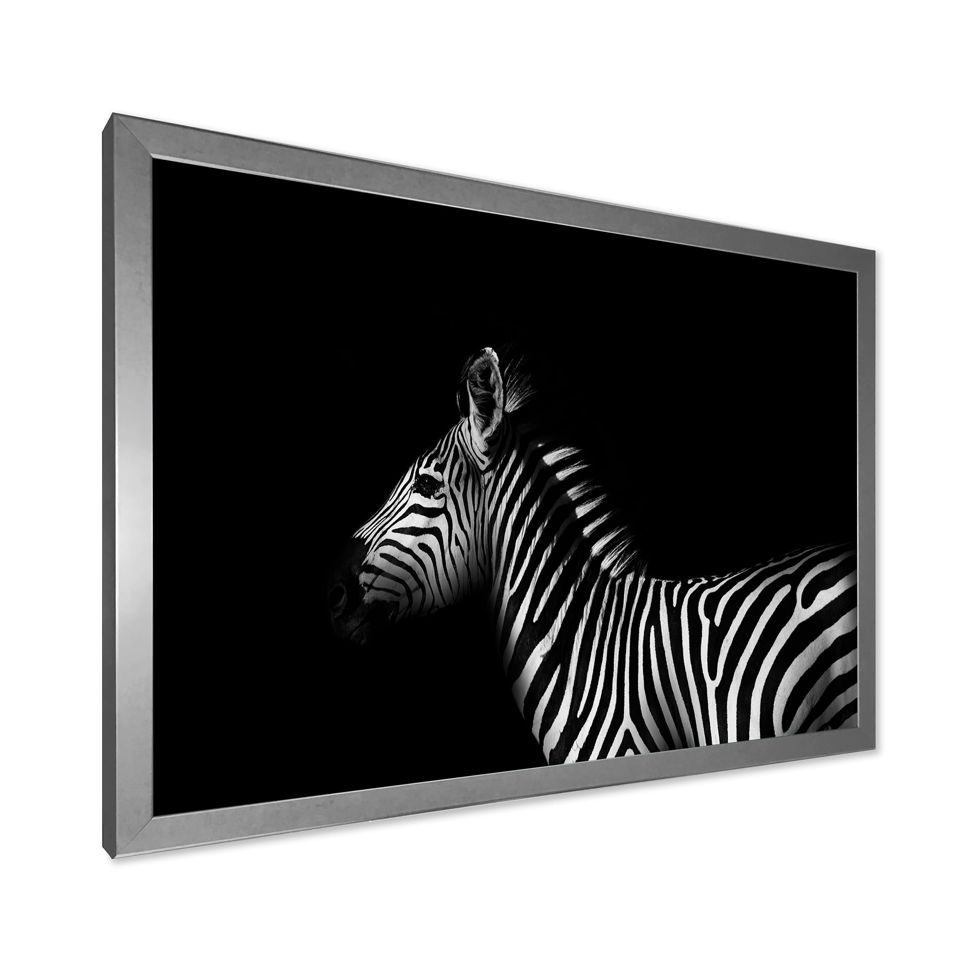 Designart 'Sideview Of Zebra In White and Black' Farmhouse Framed Art Print