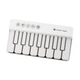 thumbnail image 1 of Piano de bolsillo ligero y resistente para niños, teclado electrónico para cumpleaños, nuevo Blanco, 1 of 9