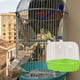 thumbnail image 5 of GOOHOCHY Caja creativa de baños de pájaros recipiente de ducha de plástico accesorio de jaula de aves, 5 of 8