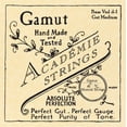 thumbnail image 1 of Academie Bass Viol d-1 Gauge Moyenne pour Intestin, 1 of 4
