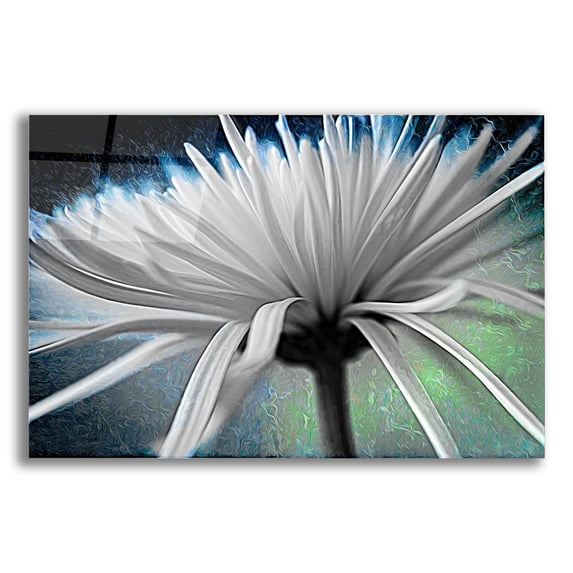 Epic Art 'Explosion 2' by Pamela Plummer, Acrylic Glass Wall Art, 16"x12"