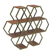 Hexagon Large Bookshelf by Drew Barrymore Flower Home