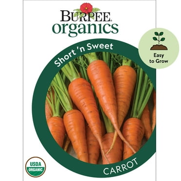 2,000 Tendersweet Gourmet Carrot Seeds The Sweetest Carrot Anywhere ...