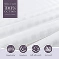 thumbnail image 6 of FAUNNA Zippered Cotton Pillowcase, Breathable and Hypoallergenic, Queen (2 Pack), 6 of 9