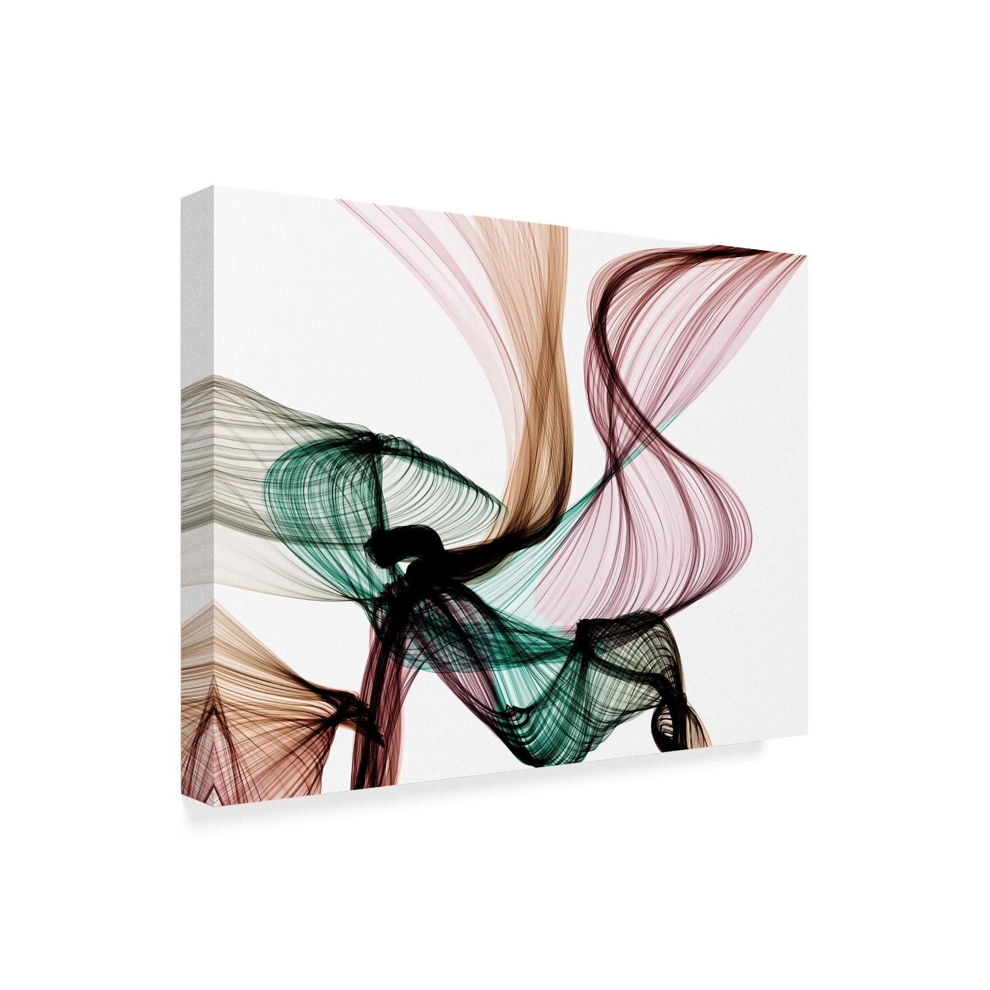 Trademark Fine Art 'Invisible World VIII' Canvas Art by Irena Orlov