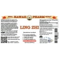 thumbnail image 2 of Ling Zhi (Ganoderma Lucidum) Dry Mushroom Liquid Extract. Expertly Extracted by Trusted HawaiiPharm Brand. Absolutely Natural. Proudly made in USA. Tincture 32 Fl.Oz, 2 of 3