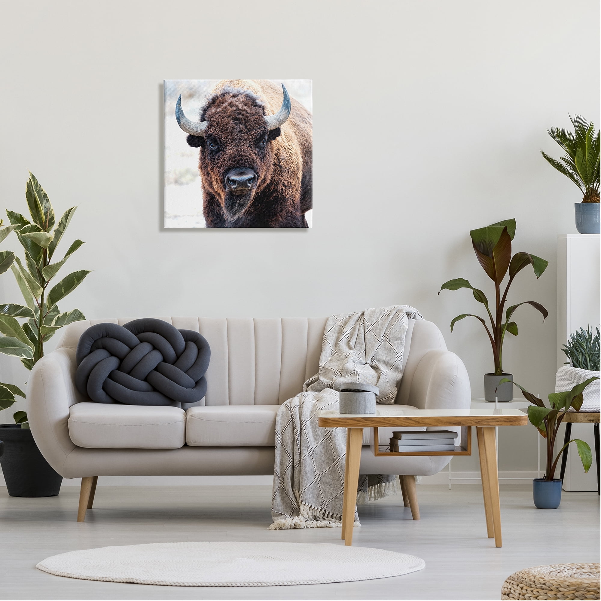 Stupell Industries American Bison Photography Animals & Insects Photography Gallery Wrapped Canvas Print Wall Art, 24 x 24