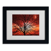 Trademark Fine Art "Big Bad Moon" Canvas Art by Philippe Sainte-Laudy, Black Frame