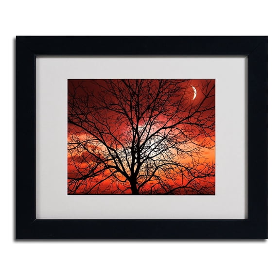 Trademark Fine Art "Big Bad Moon" Canvas Art by Philippe Sainte-Laudy, Black Frame