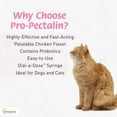 thumbnail image 5 of Vetoquinol Pro-Pectalin Anti-Diarrheal Gel for Dogs and Cats 15mL or 30mL, 5 of 7