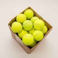 Recycleballs 25 Gently Used Tennis Balls for Dogs and Heavy Chewers