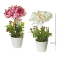 thumbnail image 3 of Maison Concepts Artificial Peony In Plastic Pot Asstd - Set of 2 (4L X 4W X 10.65H), 3 of 3