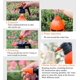 thumbnail image 5 of Pulverizador de alta presión de 2L con boquilla de latón ajustable, atomizador de bomba de alta calidad (2L) adecuado para plantas de hogar y jardín oso de fresa Electrónica, 5 of 5