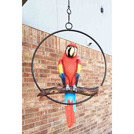 Garden Metal Sculpture Ebros Patio Home Garden Hanging Scarlet Macaw Parrot Perching on Branch in Metal Round Ring Figurine Sculpture Nature Lovers Tropical Bird Collectors Decor 13.5