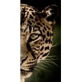 thumbnail image 2 of Allen, Kimberly 14x24 White Modern Wood Framed Museum Art Print Titled - Leo Panel, 2 of 4