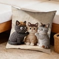 thumbnail image 5 of Euaioeiu Cute Animal Pillow Cover Fluffy Embroidery Decorative Throw Pillow Case Soft Accent Cushion Cover for Living Room Sofa Bedroom Decor Festival Home Decor, 5 of 6