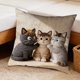 thumbnail image 5 of Uuiauoio Cute Animals Decorative Throw Pillow Cover , Animals Family Animals Outdoor Pillow Cases Square Standard Cushion Cover for Sofa Couch Bed Car 17.72x17.72 inch, 5 of 6