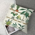 thumbnail image 7 of Geranium Pillow Sham, Botanical Theme with Aloe Indoor Houseplants Spider Plant Dragon Tree Calathea, Decorative Standard King Size Printed Pillowcase, , Multicolor, 7 of 7