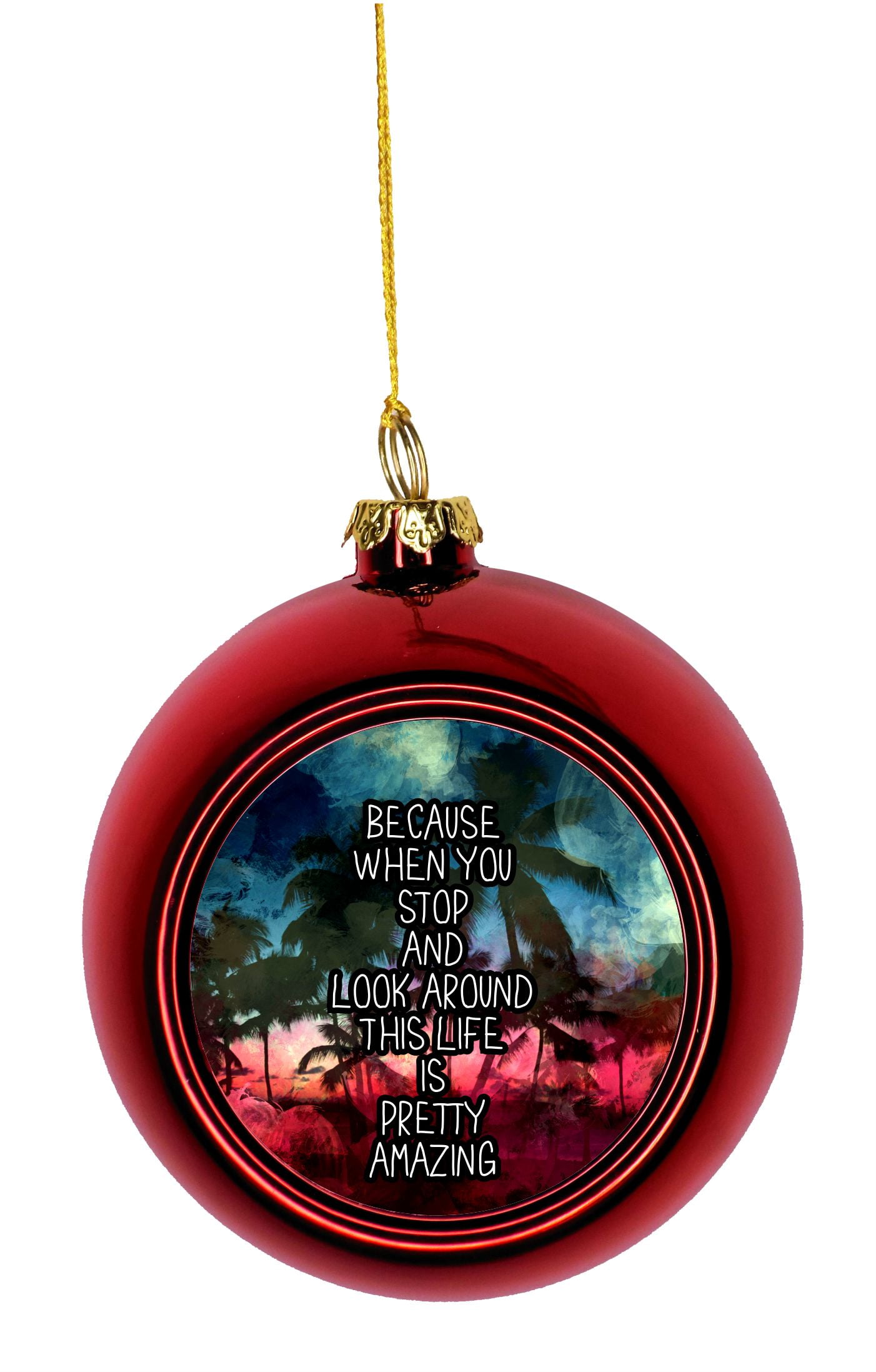 Because When You Stop and Look Around This Life is Pretty Amazing