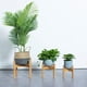thumbnail image 3 of Soporte para plantas, jardín de flores, planta en maceta, estante de madera para interior y exterio yeacher Largo, 3 of 7