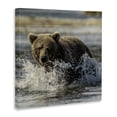 thumbnail image 3 of Stupell Industries Bear Splashing in River Animals Photography Wrapped Canvas Canvas Art Print Wall Art, 17 x 17, 3 of 7